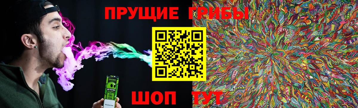 Псилоцибиновые грибы Magic Shrooms  Вход с VPN  Галлюциногенные грибы мицелий  Нововоронеж 